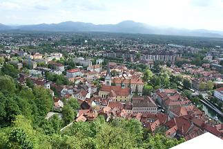 Panoramic View from the Observation Tower (3)