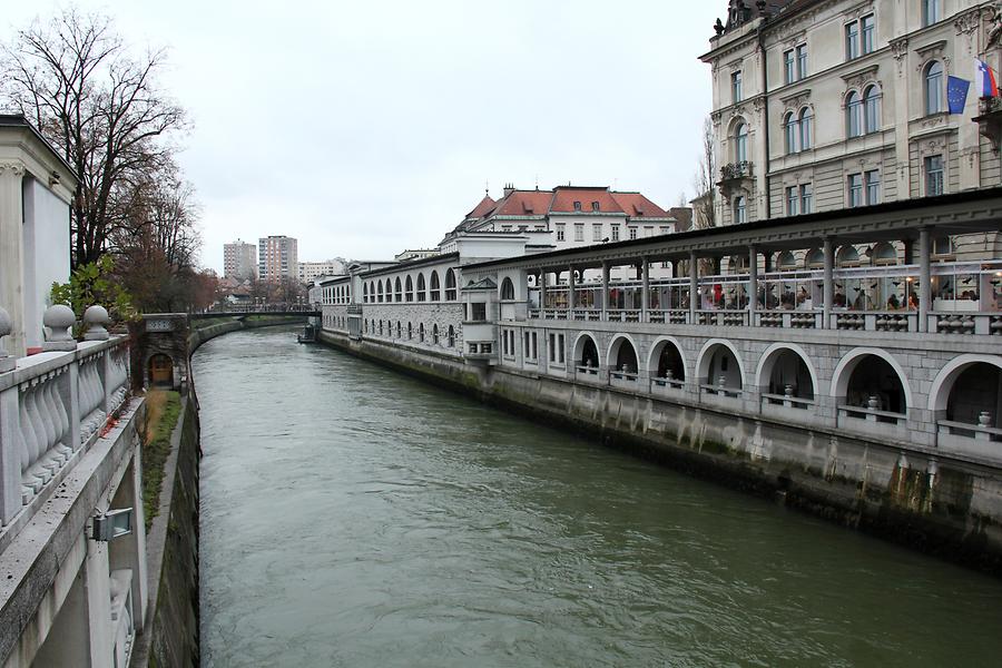 Ljubljanica