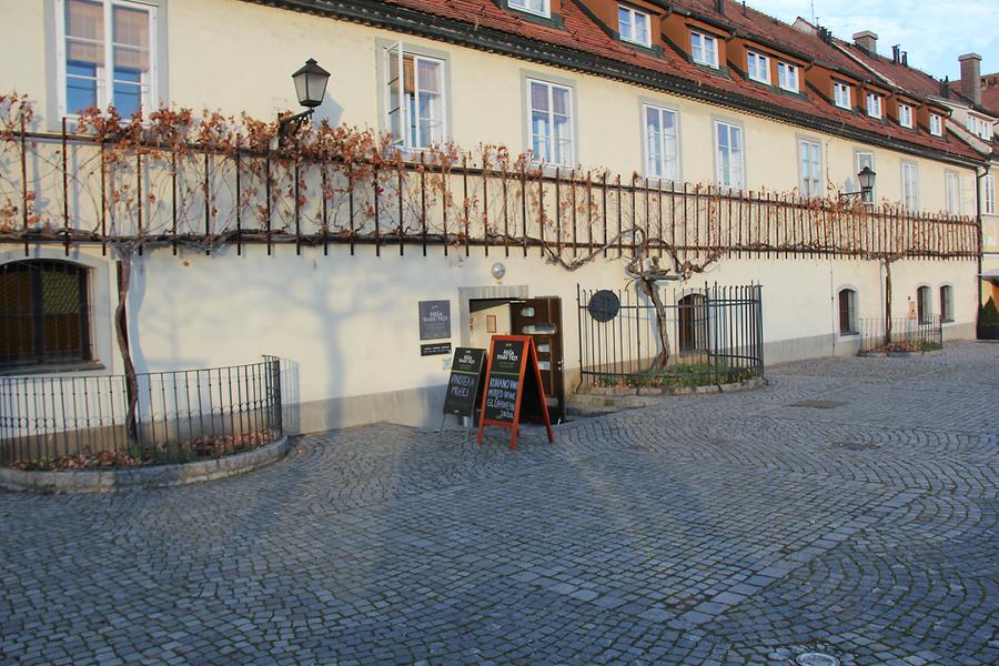 Old Vine House in Winter