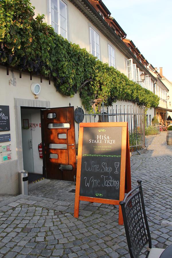 Wine Shop and Presentation