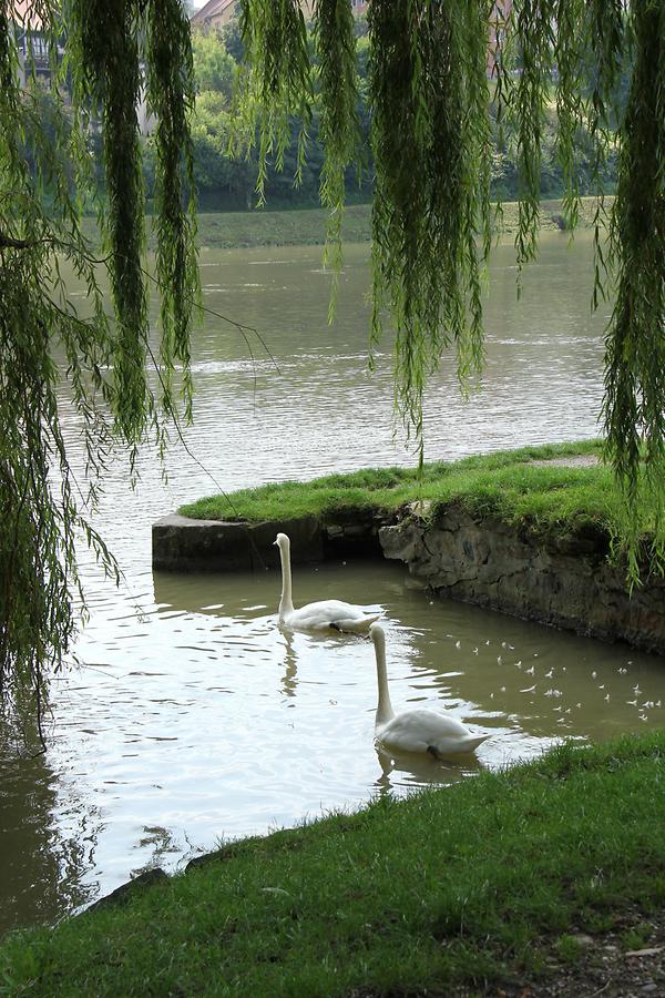 Lent - Drave; Riverbank