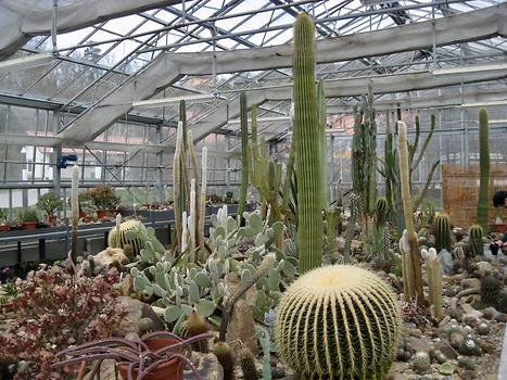 Cactus pavilion in Cerovec pod Bočem, Rogaška Slatina, Slovenia. 2016. Photo: Clara Schultes, Slovenia. 2016. Photo: Clara Schultes