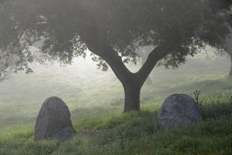 Dolmen de Lácara