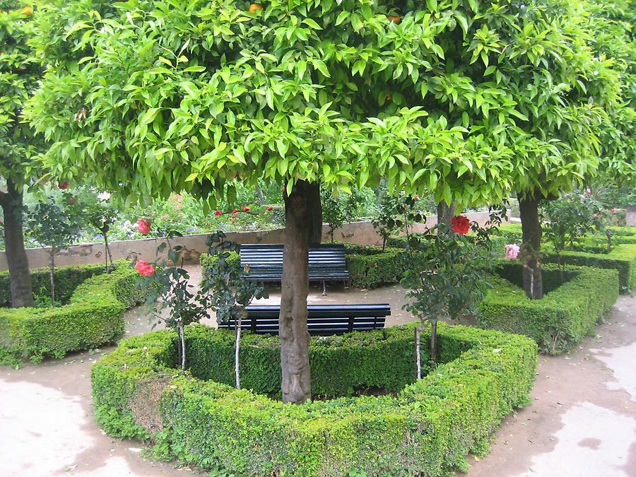 Granada - Palacio de Generalife - Jardin