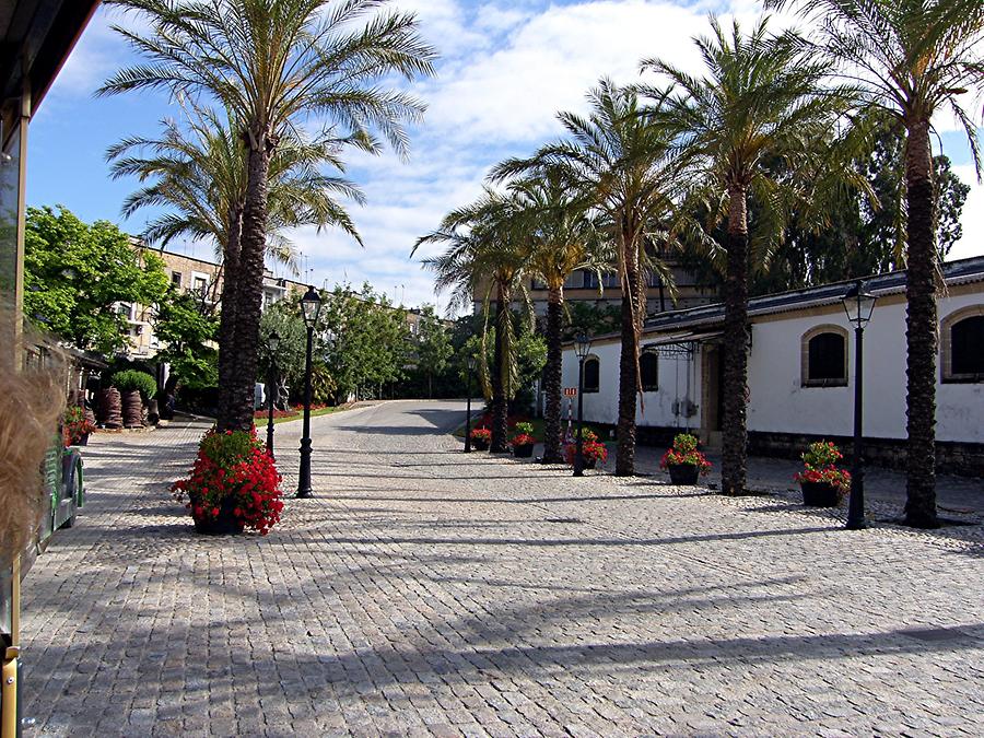 Jerez de la Frontera - Gonzales Byass