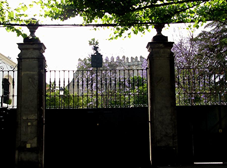 Jerez de la Frontera - View of the alcacar from Gonzales Byass