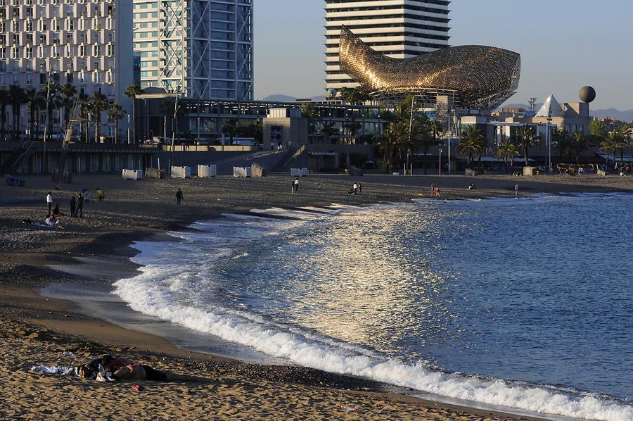 Barceloneta Beach