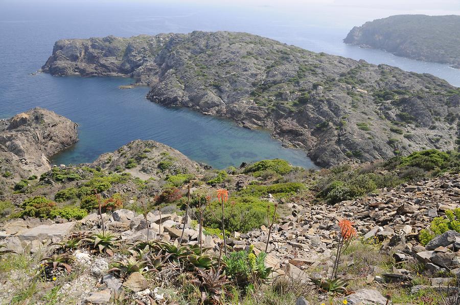 Cap de Creus