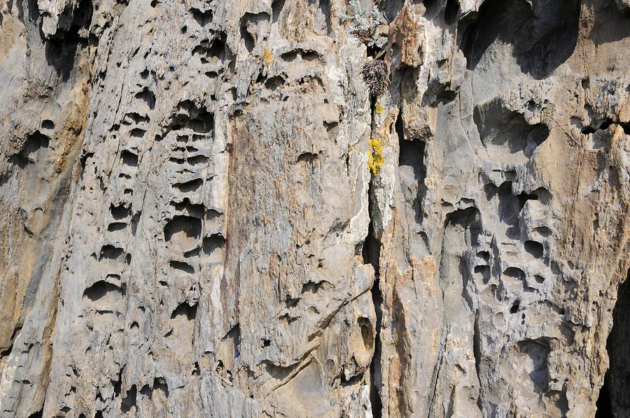 Cap de Creus