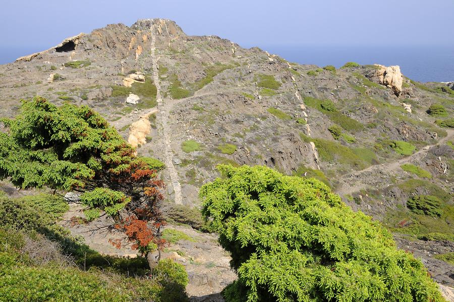 Cap de Creus