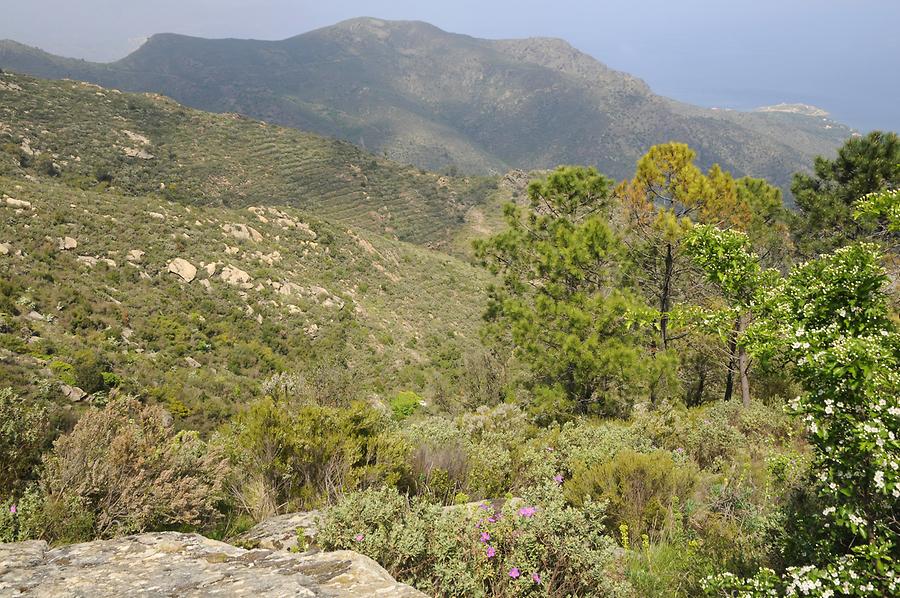 Landscape near Sant Pere de Rodes