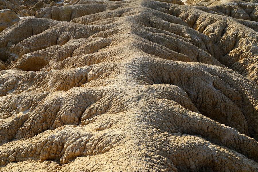 Bardenas Reales