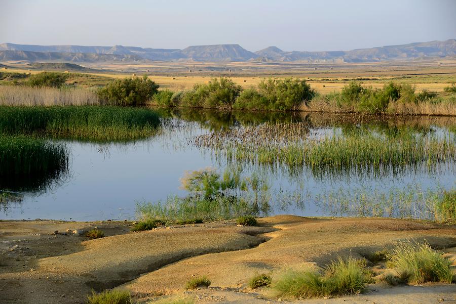 Bardenas Reales