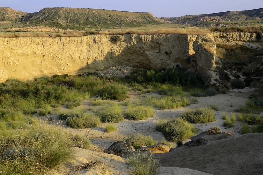 Bardenas Reales