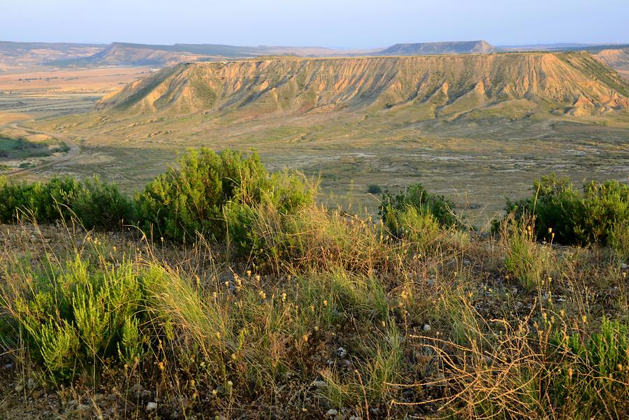 Bardenas Reales