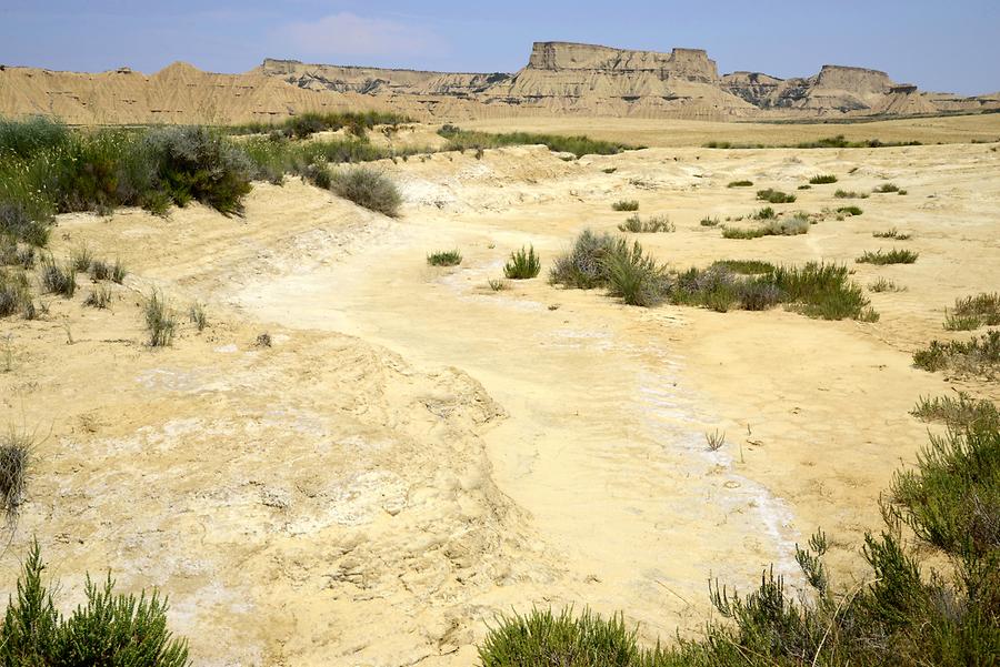 Bardenas Reales