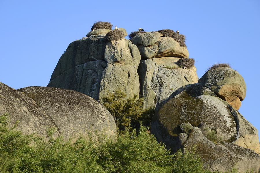 Los Barruecos - Stork's Nests