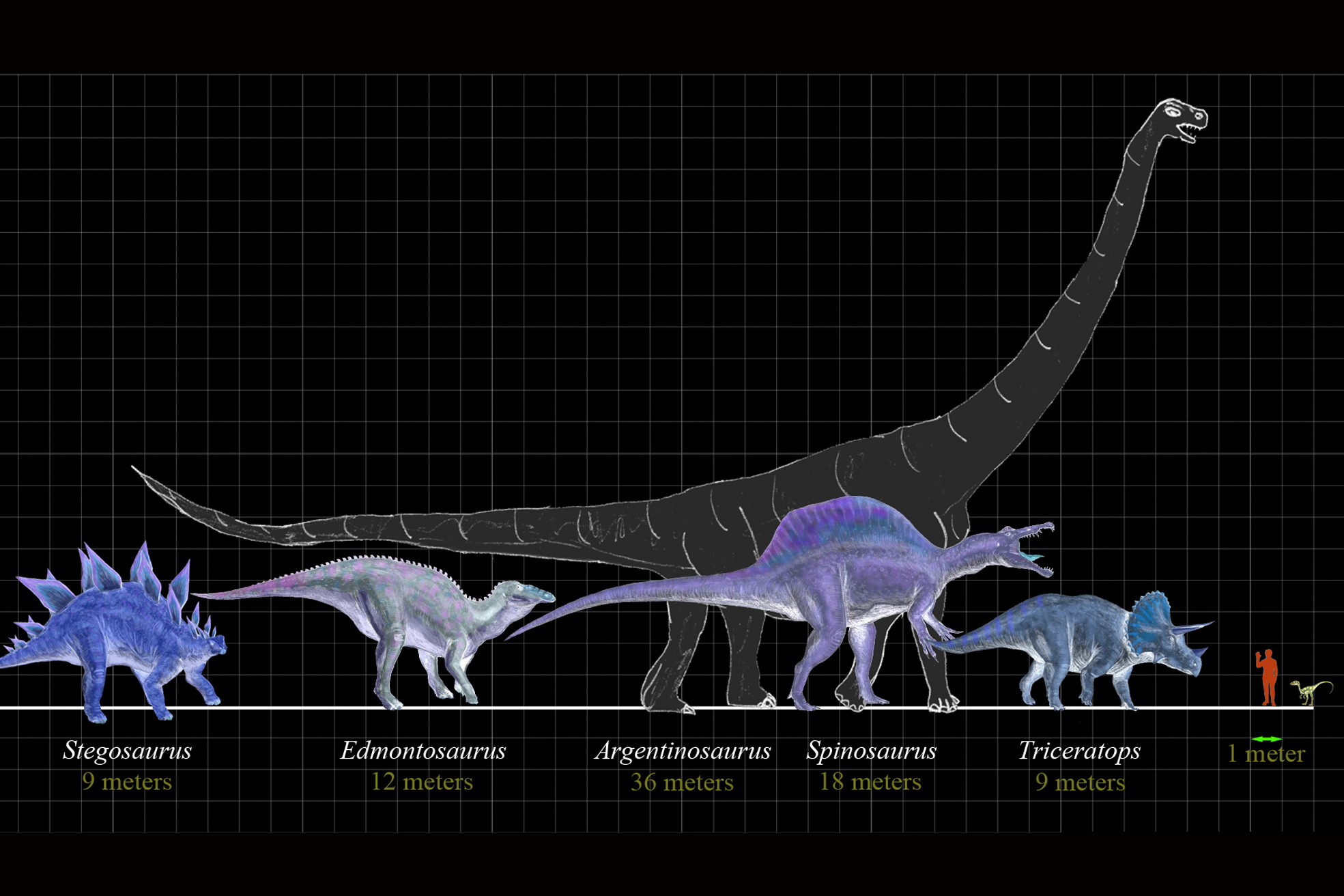 Сравнение динозавров. Размеры динозавров. Size Comparison динозавры. Dinosaurs Size Comparison. Средний размер динозавров.