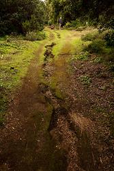 La Llanía pathway