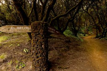 La Llanía pathway