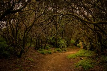 La Llanía pathway