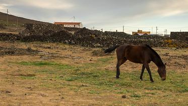 In the South of El Hierro