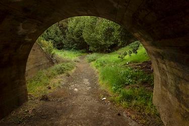 La Llanía pathway