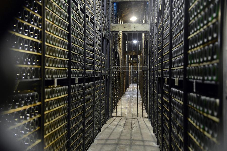 Marques de Riscal - VIP Wine Cellar