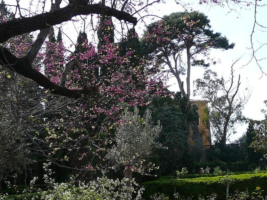 Valldemossa