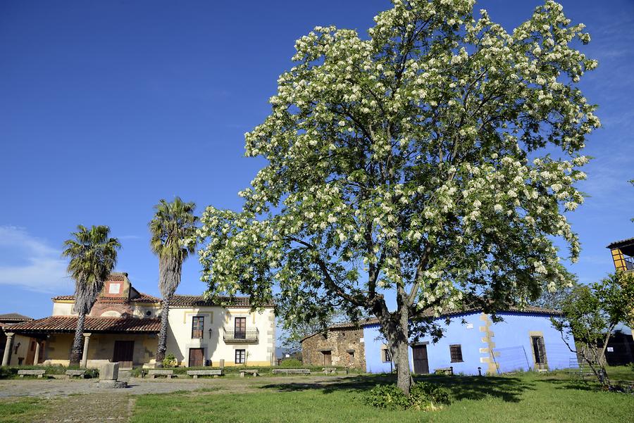 Granadilla - Plaza Mayor