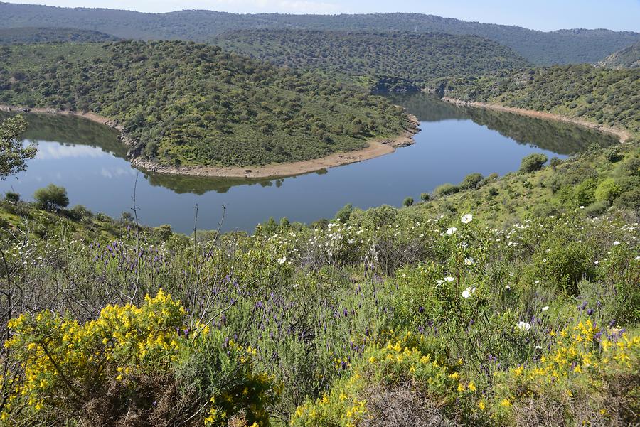 Monfragüe National Park - Tagus