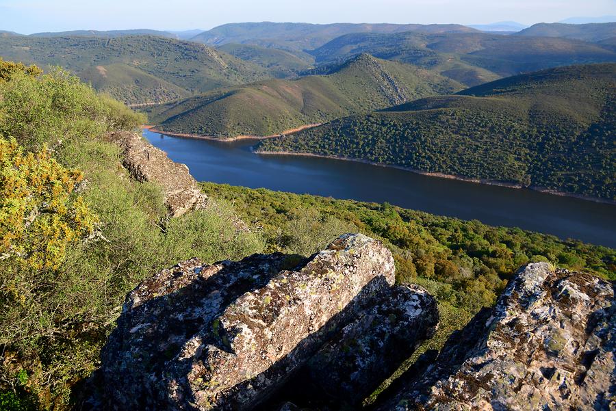 Monfragüe National Park - Tagus