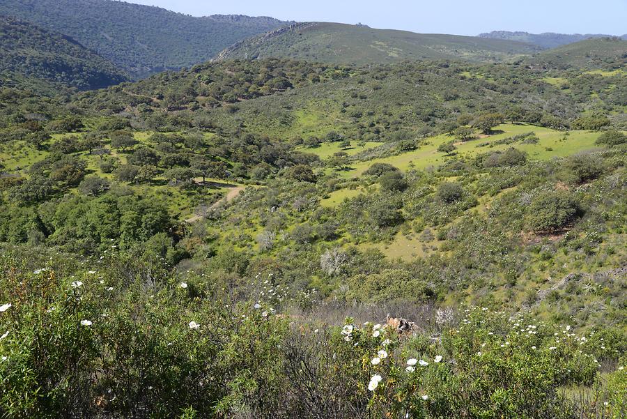 Monfragüe National Park