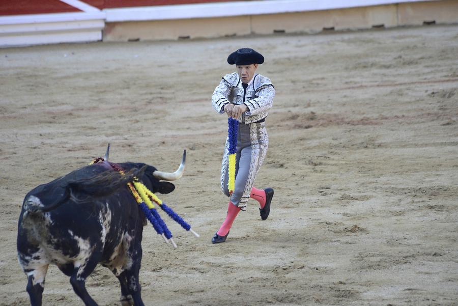 Banderillas Bullfight