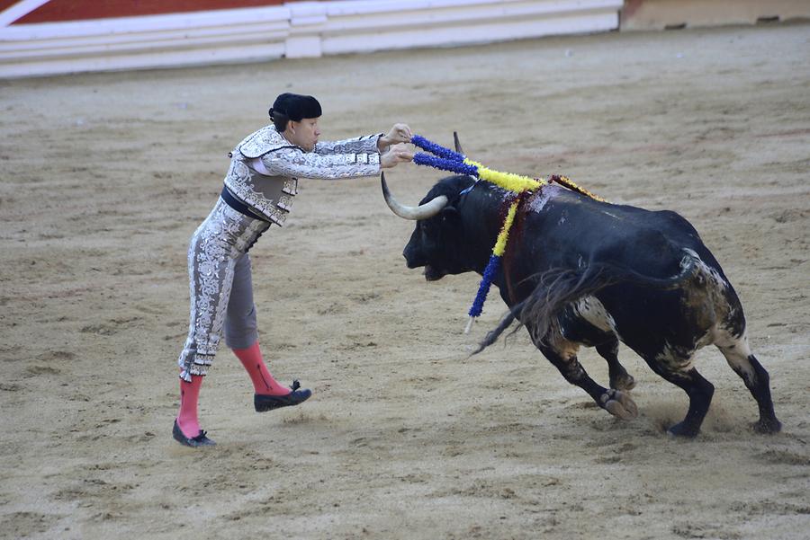 Banderillas Bullfight