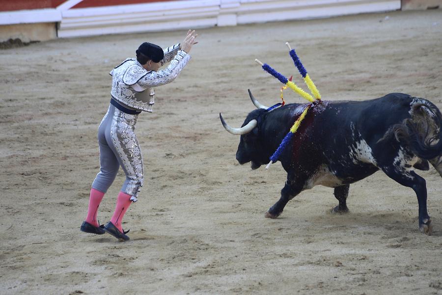 Banderillas Bullfight