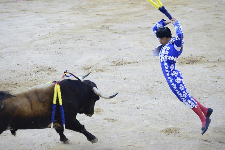 Banderillas Bullfight