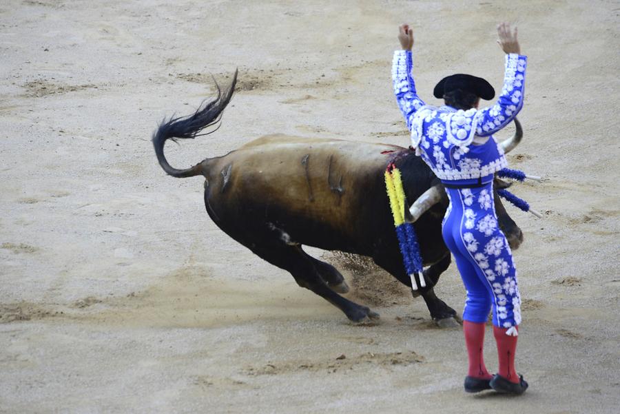 Banderillas Bullfight