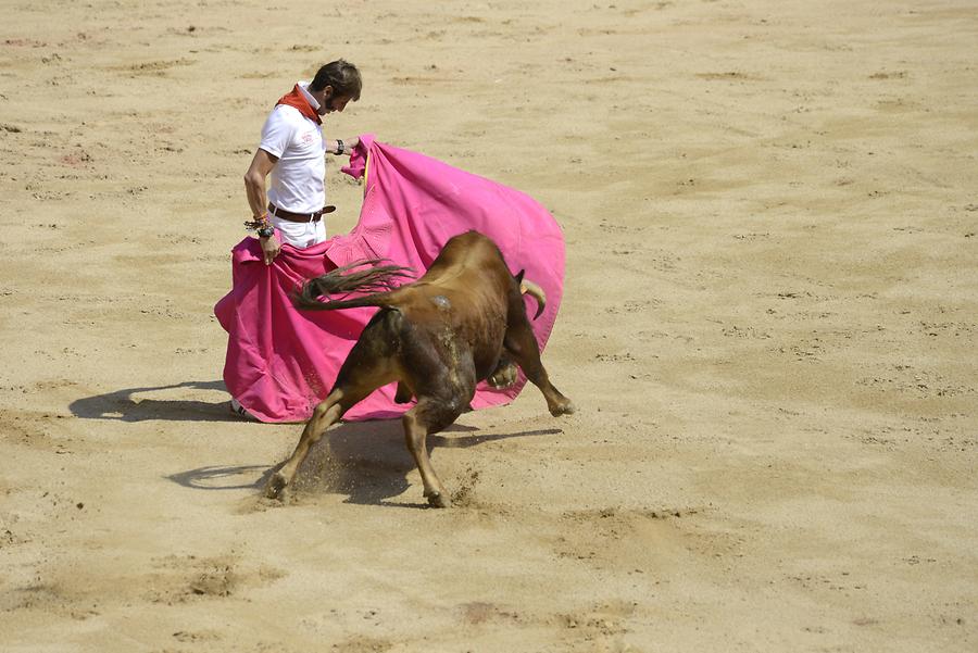 Matador Bullfight