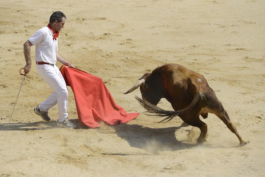 Matador Bullfight