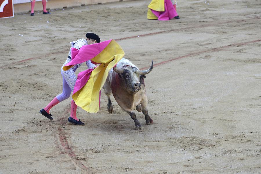 Matador Bullfight