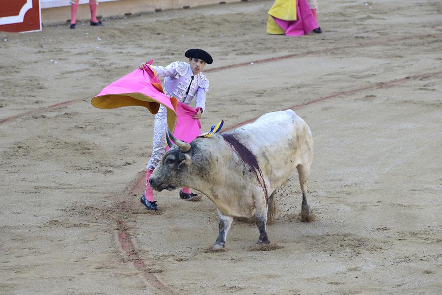 Matador Bullfight