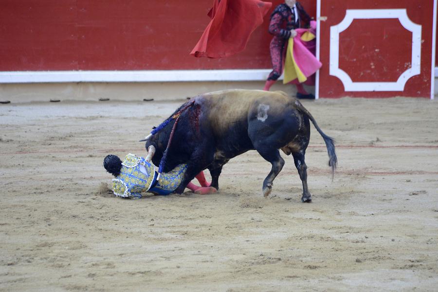 Matador Bullfight