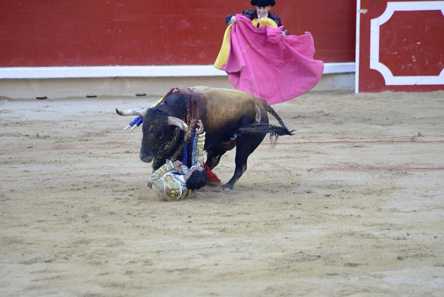 Matador Bullfight