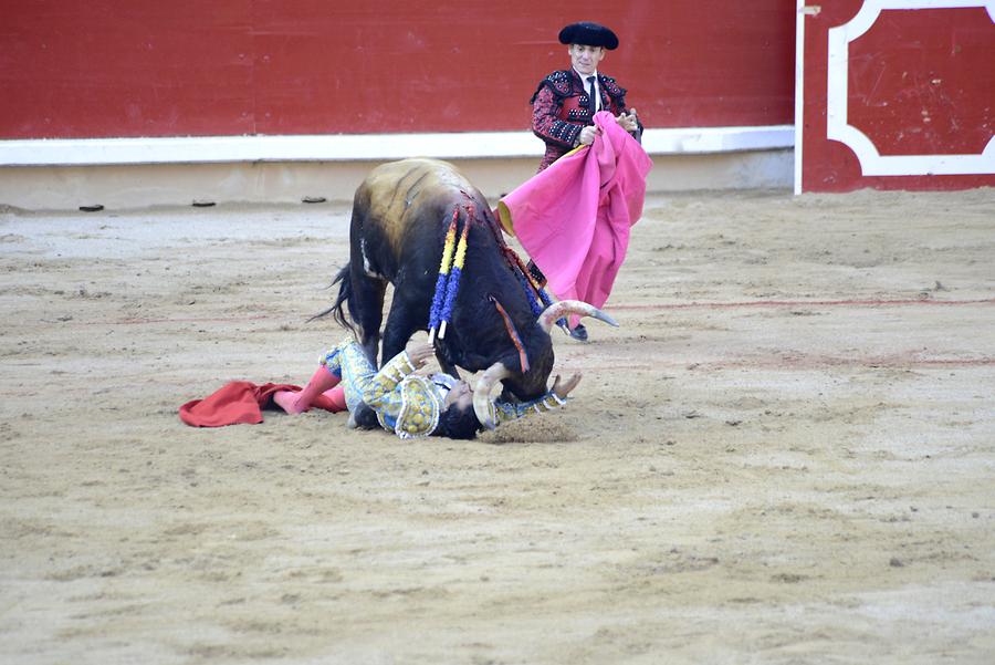 Matador Bullfight