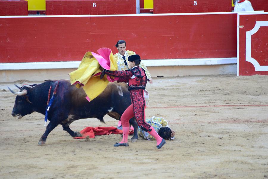 Matador Bullfight