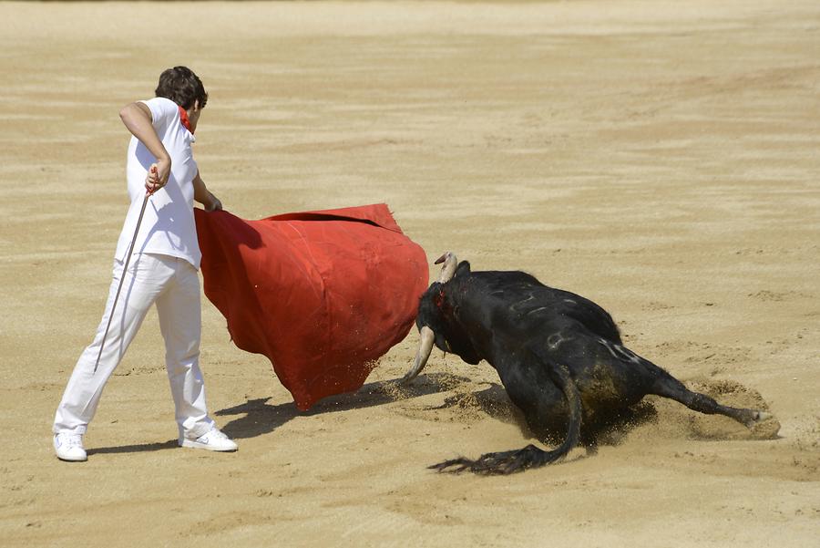 Matador Bullfight