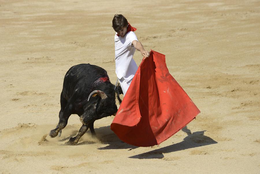 Matador Bullfight