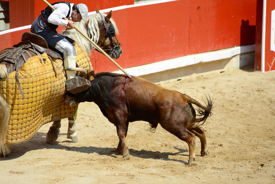 Picadores Bullfight