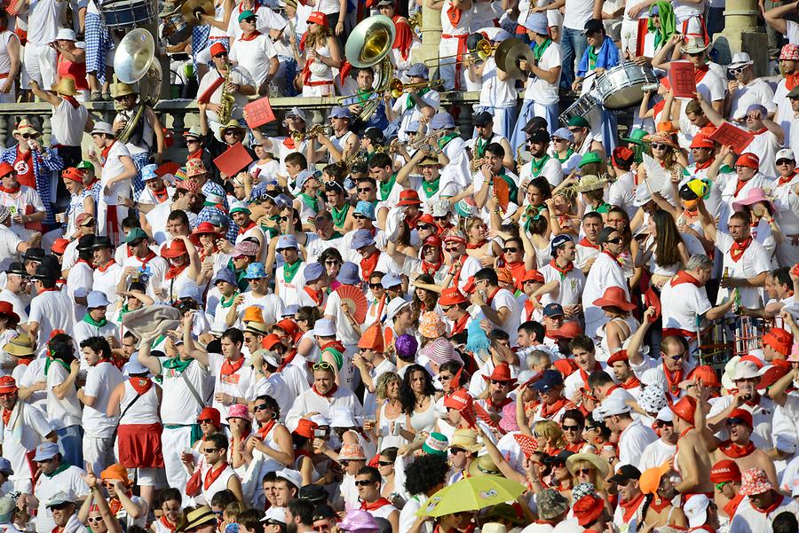 Spectator Bullfight